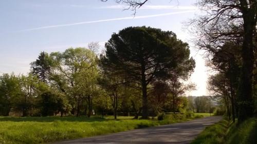 Lussan Maison | Mirelaure, Havre convivial au cœur de 32 hectares