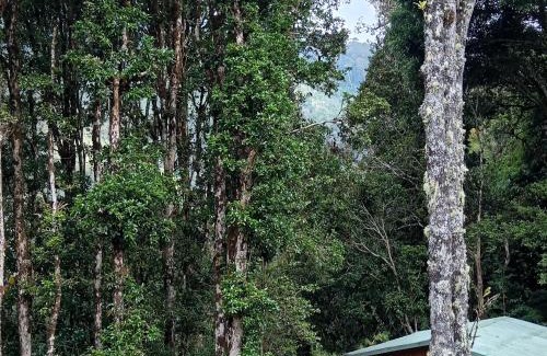 San Gerardo de Dota Lit Et Petit-Déjeuner | Miriam'S Quetzals lodge