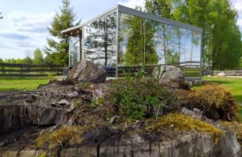 Birzgale Maison | Mirror house