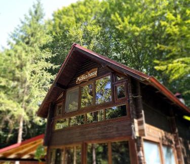 Avrig Maison | Misha's House