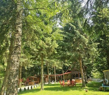 Avrig Maison | Misha's House