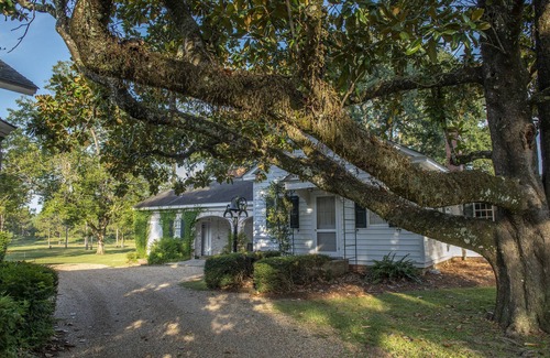 Fowlstown Maison | Mistletoe Retreat: Large estate on FL-GA line. 6-8 BRs sleeps 16. n
