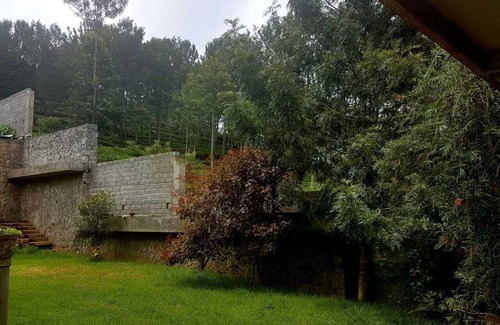 Kotagiri Maison | Bois vert brumeux ...