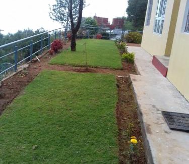 Wellington Maison | Misty hillz Ooty