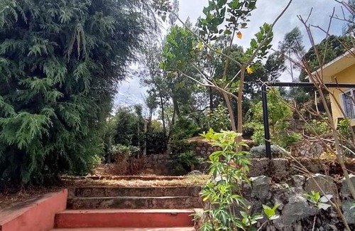 Wellington Maison | Misty hillz Ooty