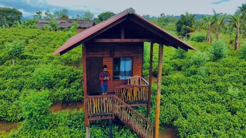 Deniyaya Hôtel | Misty Mountain- Sinharaja
