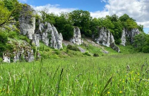Solnhofen Appartement | Mitten im Altmühltal - 110 qm