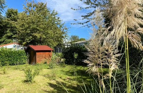 Angicourt Maison | Mobile home - 37m² - 3 bedrooms without terrace 6 people