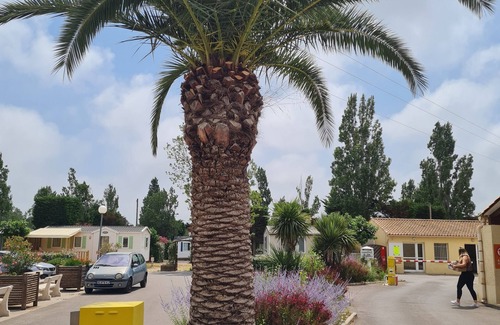 Vic-la-Gardiole Maison | Mobilhome 6 pers. Camping 4*