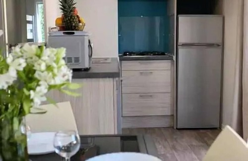 Touquin Maison | Mobile-home XXL Breizh 5 rooms 10 persons