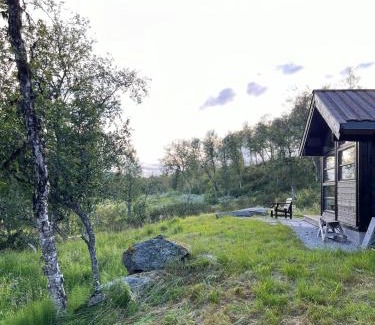 Al Maison | Modern Ål Cabin At The Foot Of Reinskarvet
