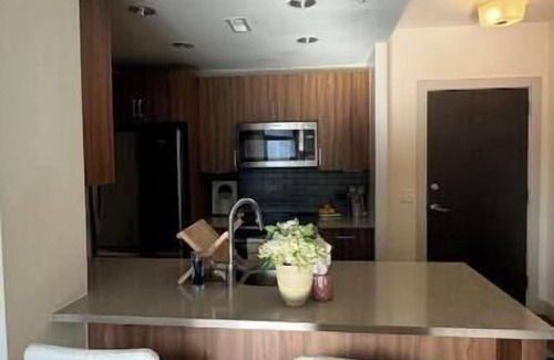 Downtown Appartement | Modern 1BR in Silver Spring