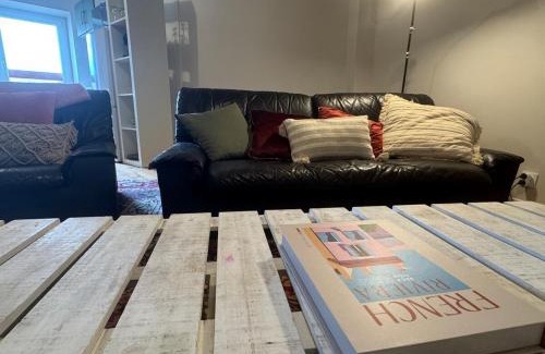 Condrieu Appartement | Modern and old T2