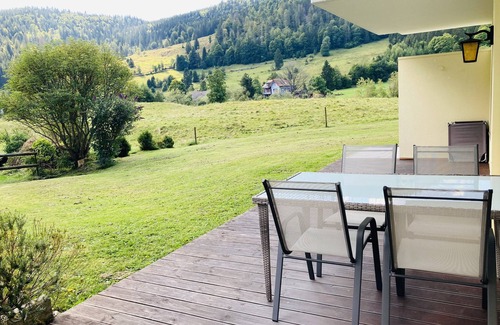 St. Blasien Appartement | Modern apartment with private sauna, close to bathing lakes, ski lift and thermal baths