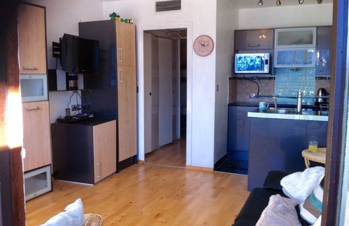 Les Deux Alpes Appartement | Studio chic, Les 2 Alpes, vue panoramique glacier, au pied des pistes, nouveau téléski rapide 200 m