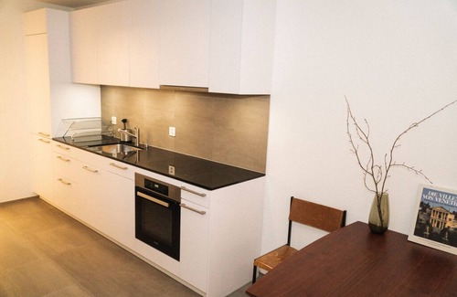 Iselin Appartement | Modern apartment in Basel with free BaselCard