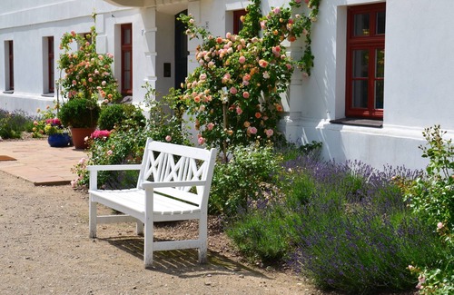 Satow Appartement | Modern Apartment in Satow with Garden
