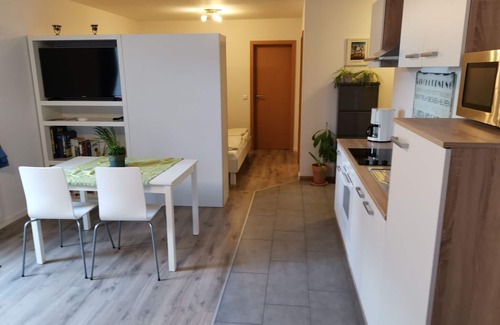 Winden im Elztal Appartement | Appartement moderne dans la deuxième vallée - Oberwinden - Elztal
