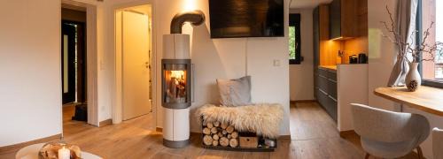 Zella-Mehlis Maison | Modern Birch Chalet At Ruppberg