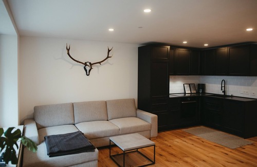St. Blasien Appartement | Modern Black Forest loft with mountain views - ski lift, bathing lake & thermal spa