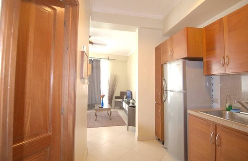 San Anton Appartement | Modern, Bright 1BR Apt =>BEST SPOT @Zona Colonial