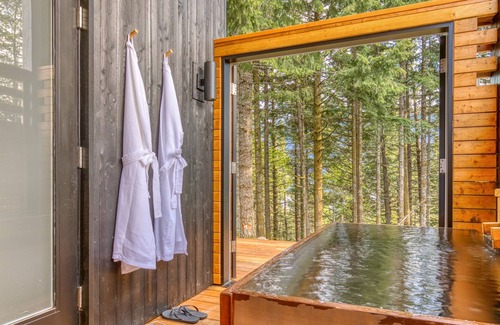 Stevenson Cabine | Modern cabin, views, geothermal hot tub, indoor steam sauna & deck