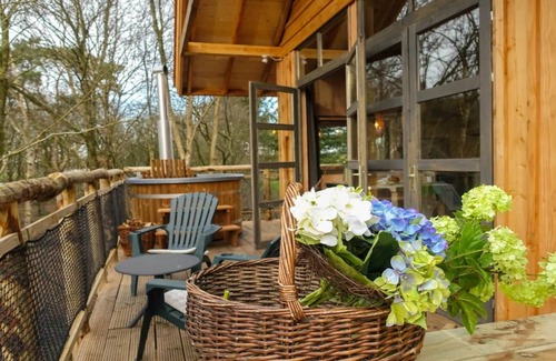 Ruinen Chalet De Ski | Chalet con lavavajillas en un parque de vacacione