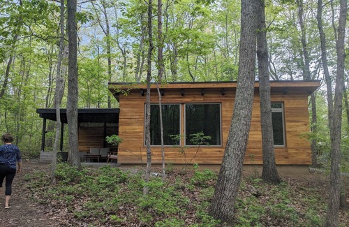 Rising Fawn Cabine | Modern Cloudland Cabin, 1.5 miles of private trails through 10 acres of woodland