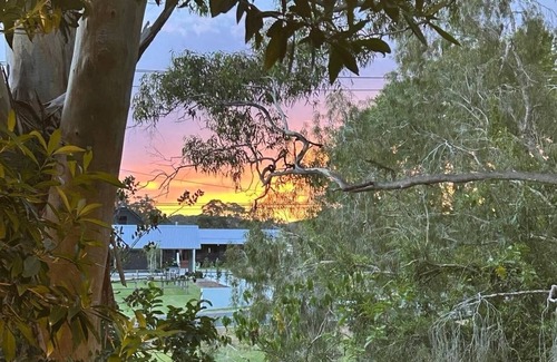 Tallebudgera Valley Cabine | Modern comfy tiny home in prime location neat beaches and waterfalls