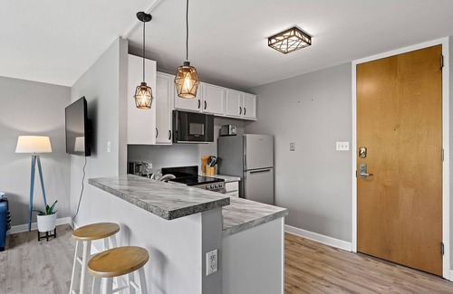 Near South Side Copropriété | Modern Condo by McCormick Place