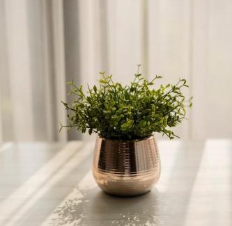 Huay Kaew Appartement | Modern Condo in Nimman P608 by Pimolplace