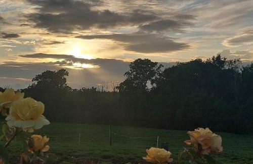 Ballymurn Appartement | Modern Countryside apartment Killmallock Lodge