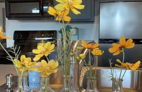 Tahlequah Appartement | Modern Downtown Studio living! Walker’s paradise!