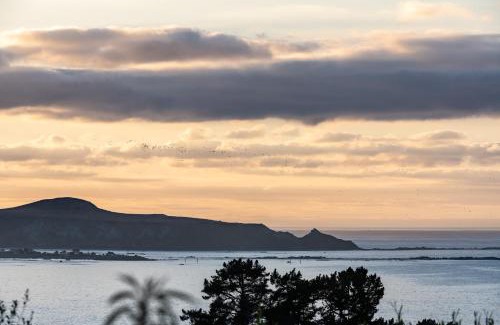 Kaikoura Maison | Modern Home in Peaceful Surround with Great Views