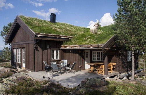 Flesberg Cabine | Modern log cabin on Blefjell
