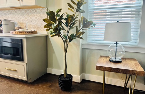 Brookland Maison | Modern & Luxurious, Brookland DC