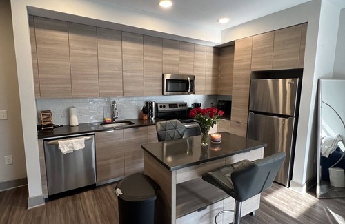 Northeast Appartement | Modern , luxurious, DC apartment with pool and gym