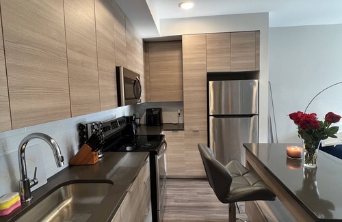 Northeast Appartement | Modern , luxurious, DC apartment with pool and gym