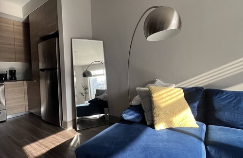Northeast Appartement | Modern , luxurious, DC apartment with pool and gym