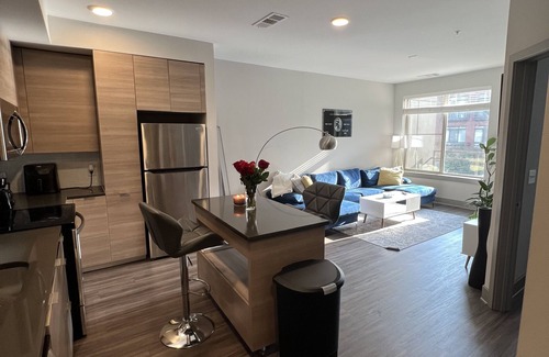 Northeast Appartement | Modern , luxurious, DC apartment with pool and gym