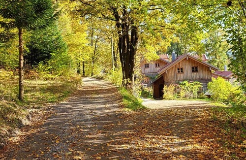 Geiersthal Appartement | Modern mountain hut with large wooden veranda