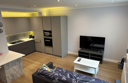 Vincent Square Appartement | Modern refurbished 2 bedroom apartment in the heart of London