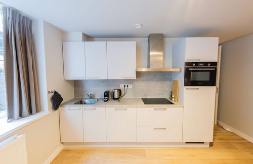 Centrum Villa | Modern Retreat 3BDR Apartment WS