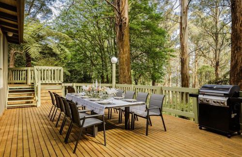 Sassafras Maison | Modern Seednest Treehouse, Forest & Mountain View