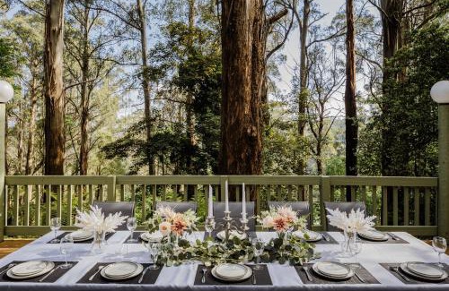 Sassafras Maison | Modern Seednest Treehouse, Forest & Mountain View