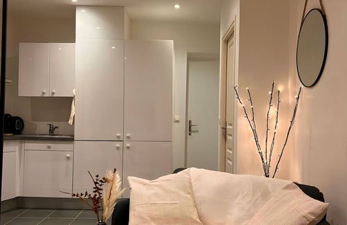 Brunoy Appartement | Modern Spa - Cozy & Chic Jaccuzi / Hyper center 🌹