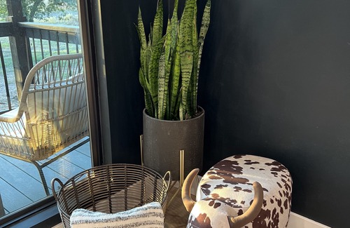 Cedar Creek Cabine | Modern stay on a relaxing ranch with friendly animals to pet and feed.