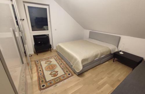 Schwalbach am Taunus Appartement | Modern stylish apartment 10 min near Messe