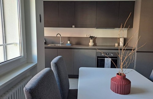 Viganello Appartement | Appartement moderne de deux pièces à 15 minutes du parc Ciani (Urban 10)