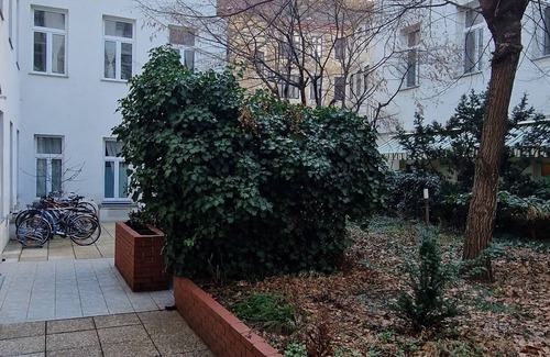 Weißgerber Appartement | Moderne Altbauwohnung in Zentraler Hofruhelage!